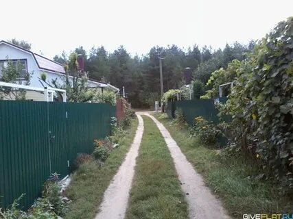 Снт заря воронежская область