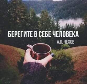 Живи тихо не