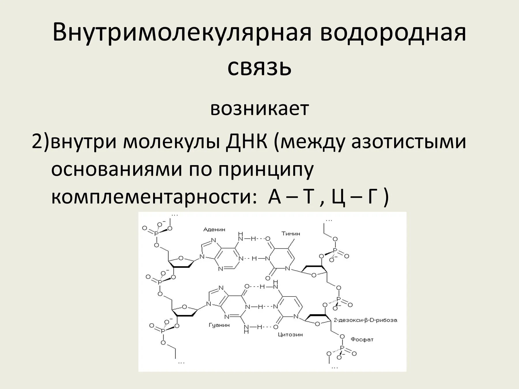 Образования межмолекулярной водородной связи. Внутримолекулярная водородная связь. Внутри и межмолекулярная водородная связь. Внутримолекулярная водородная связь ДНК. Водородные связи в ДНК.