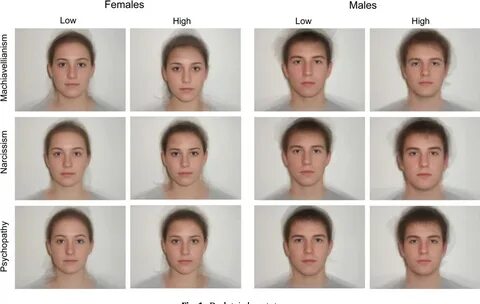 3 3 average