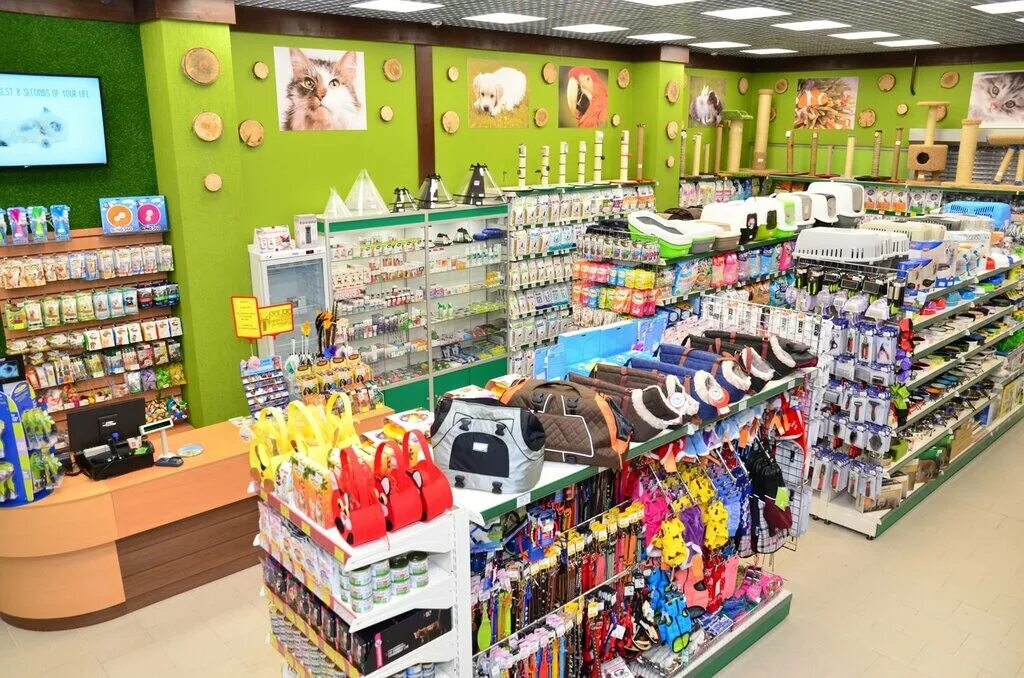 зоомагазин торговый центр. зоомагазин друг. зоомир тц алдан. зоомагазин торговый центр. тц акварель южная.