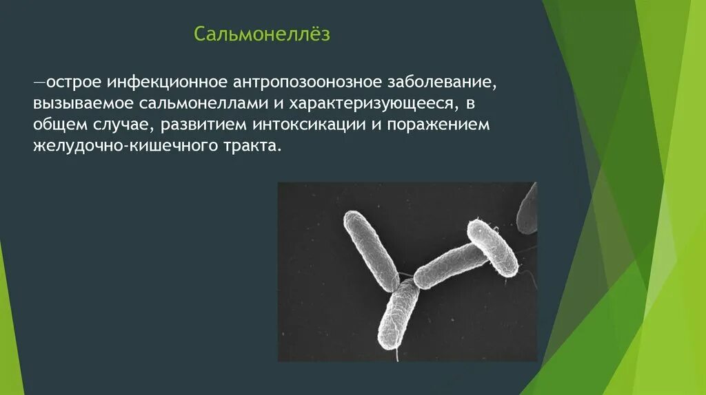 Заболевания вызываемые сальмонеллами. Антибиотики против сальмонеллы. Сальмонеллез это острое инфекционное. Сальмонеллез вызывается. Отравление сальмонеллезом