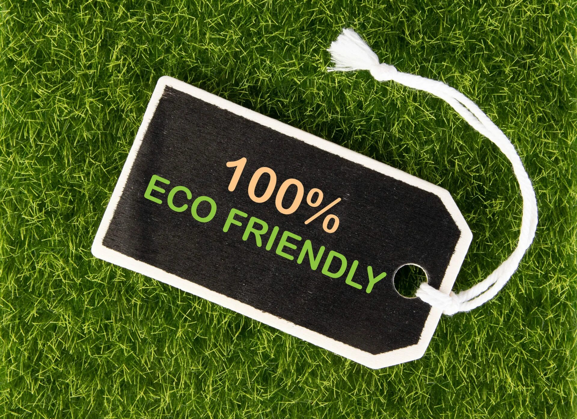 Френдли таг лост. Эко френдли. Значок Eco friendly. Эко-френдли (Eco-friendly) черный. Эко френдли картинки.