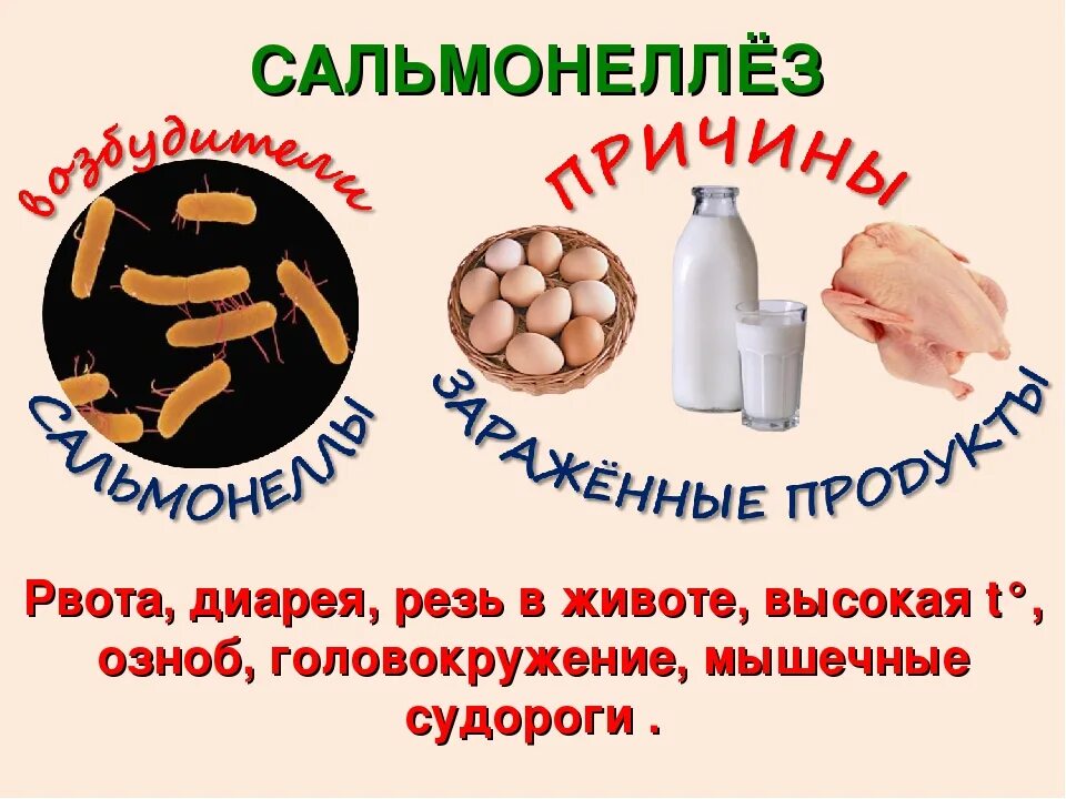 Симптомы сальмонеллеза