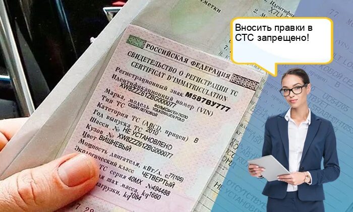 Изменения в СТС. Новый вид СТС. СТС новый образец. Изменения в СТС автомобиля в 2021 году. Можно предъявить стс