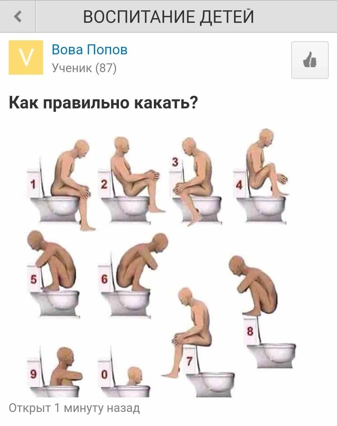 Можно какать и писать. Как правильно какать картинки. правильная поза когда какаешь. как правильно покакать. инструкция как правильно какать.