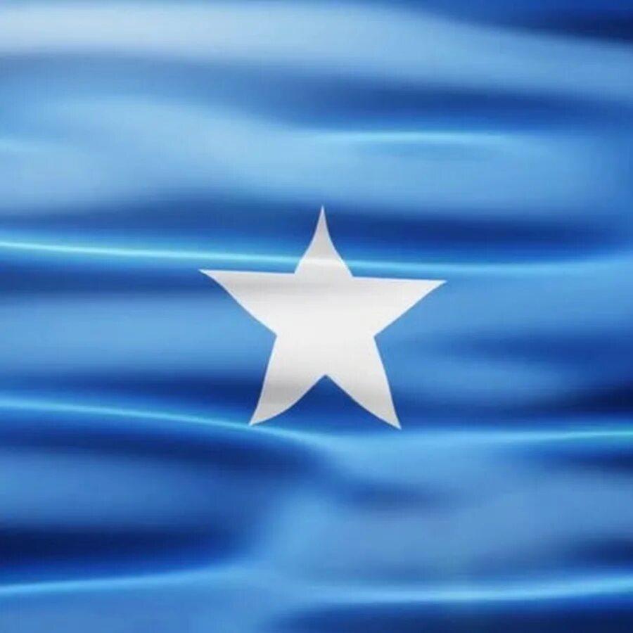 Как выглядит флаг сомали Somalia Flag Vector Icon stock illustration. Illustration of independence 1140