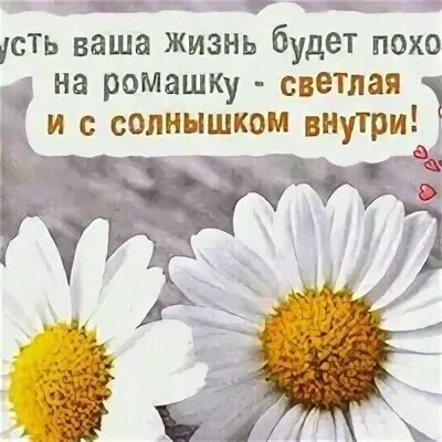 Жизнь была похожа