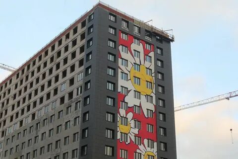 Ромашка мурино