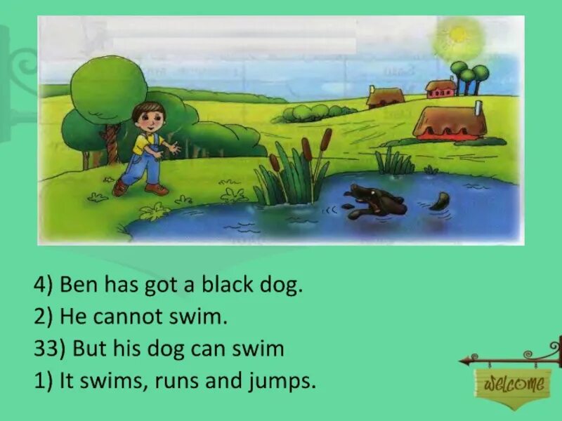 Can Swim. Can his Dog Swim?. A Dog can. Dog can't Swim.