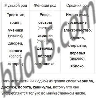 Число имени существительного каникулы