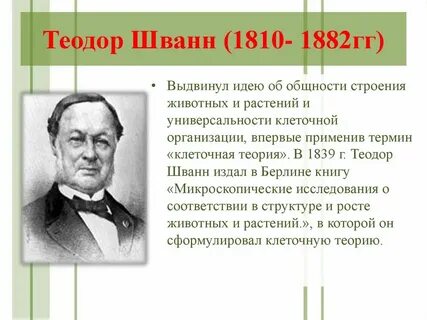 Какой немецкий ученый сформулировал теорию
