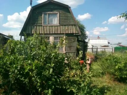 Авито орехово зуево объявления