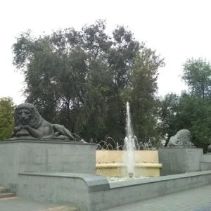 Лева ростов на дону