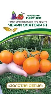 Черри фирмы партнер