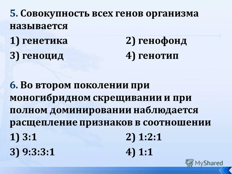 Во втором поколении при моногибридном. Совокупность всех генов организма называют. Какое расщепление по генотипу наблюдается при полном доминировании. Геном и генофонд. Генофонд корректировка генотипа.