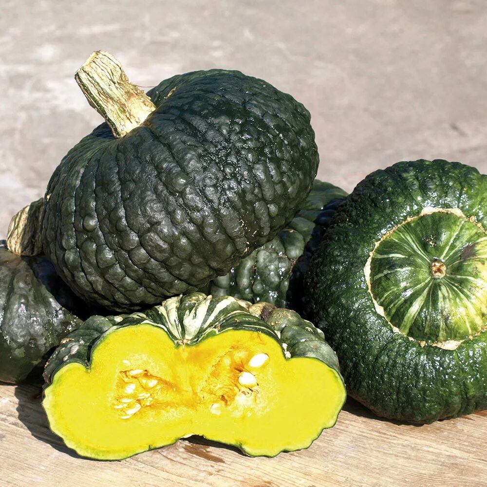 Кабачковая тыква фото Imgur: 800 year old squash seeds planted Seeds, Small clay pot, Plants