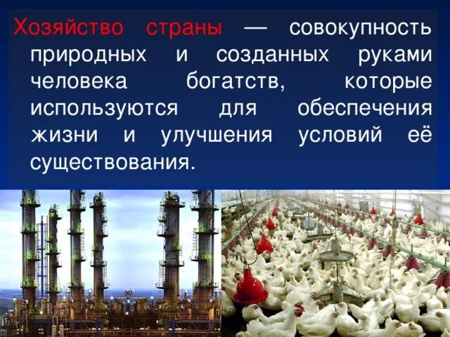 Особенности развития экономики россии. Структура отраслей мирового хозяйства. Что нужно для успешного развития хозяйства. Задачи хозяйства страны. Развитие хозяйства 8 класс.