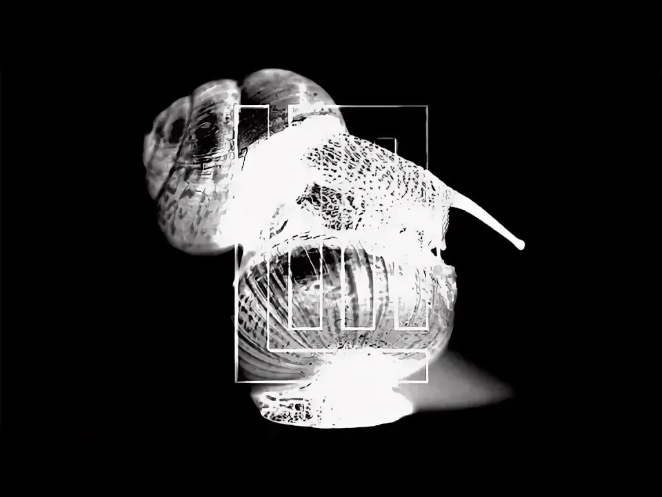 Ich weiß es. Lindemann москва 2020. Lindemann frau und mann обложка. Тилль линдеманн ich hasse. Ich weiß es.