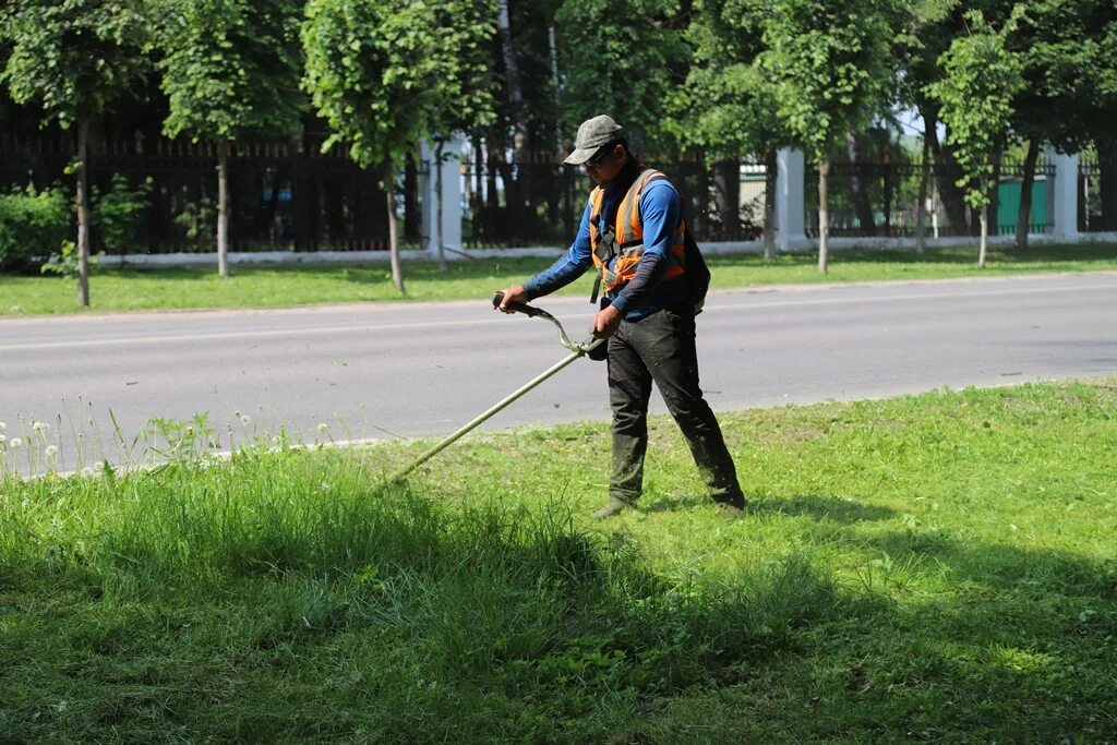 Работа гор тула. Озеленение территории г. Тула центр города. Городское хозяйство. Губернатор города тула.