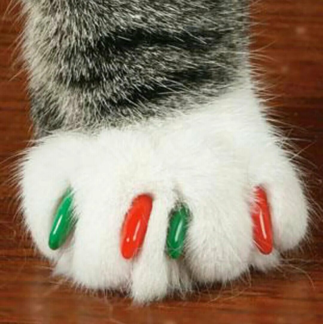Ноготочки для кошек. Маникюр с кошками. Пушистые ногти. Накладки на когти для кошек.