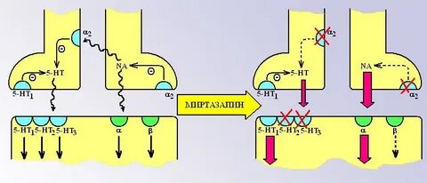 Блокада рецепторов