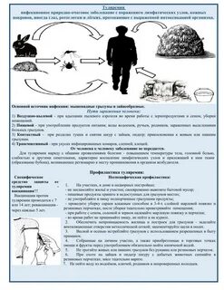 Туляремия антибиотик