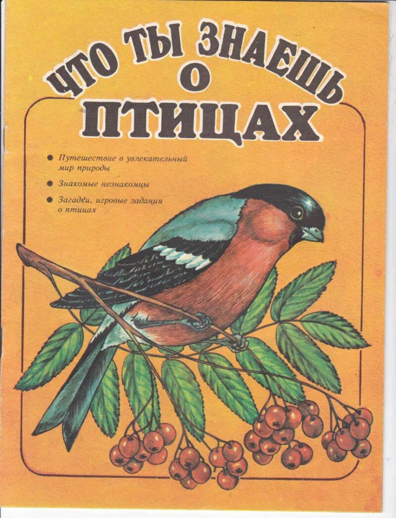 Читать книгу птичка