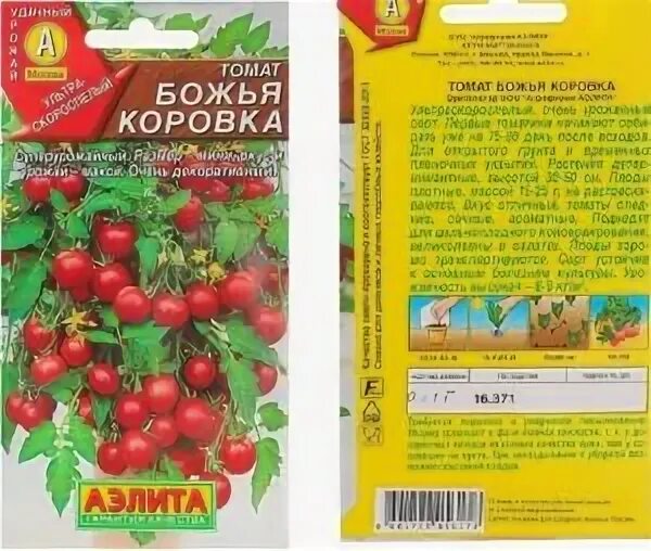Томат монеточка
