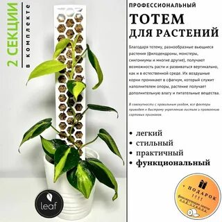 Как сделать тотем для растений