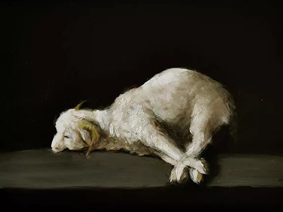 кроткий жертвенный овен. кроткий жертвенный овен. кроткий жертвенный овен. сурбаран агнец. овен.