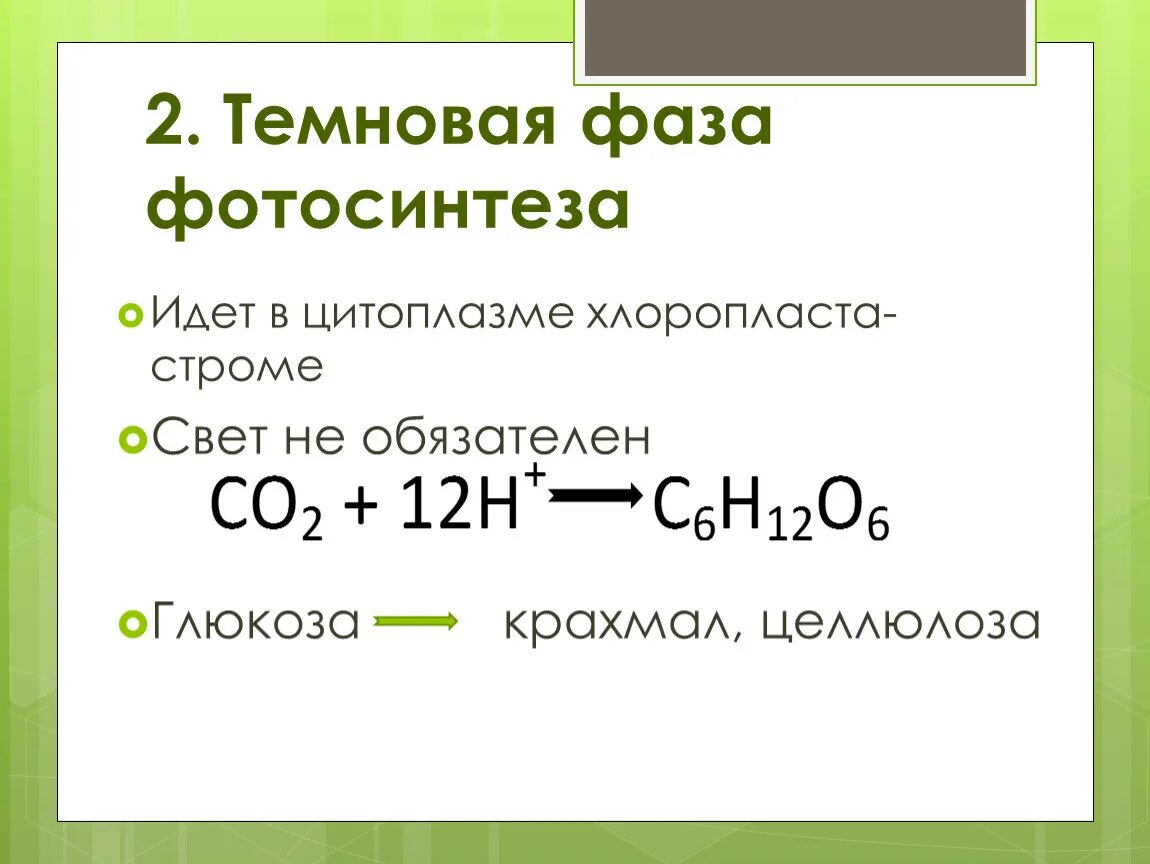 Темновая стадия. Формула Темновой фазы фотосинтеза. Темная фаза фотосинтеза реакция. Суммарное уравнение световой стадии фотосинтеза. Фотосинтез реакции реакции.