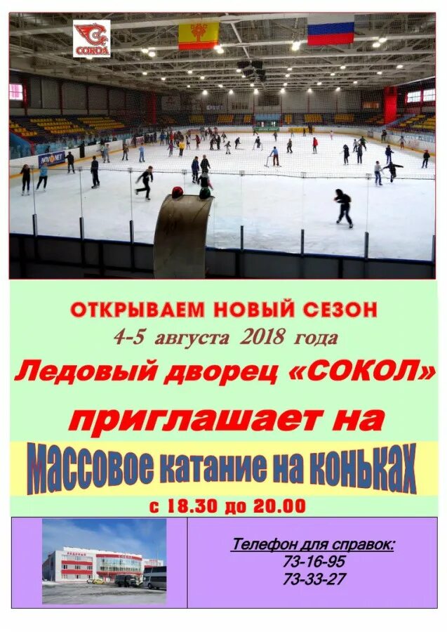 ледовый дворец коньки. хоккейные коньки tg-h5a71 адмирал. точильный станок для коньков прошарп. заточка коньков объявление. заточка коньков логотип.