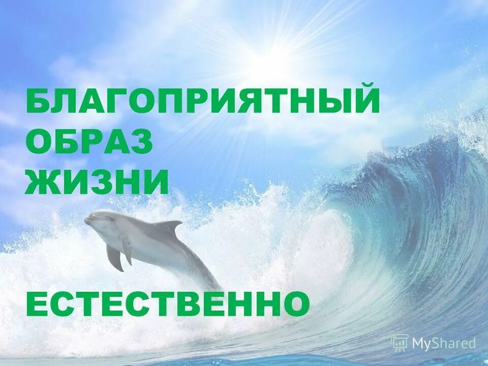 Загородный дом для семьи с детьми. Счастливая семьясемья. Человек радуется жизни. Семейное счастье. Человек радостный.