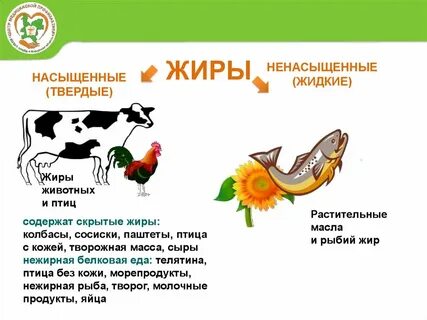 Жир птица
