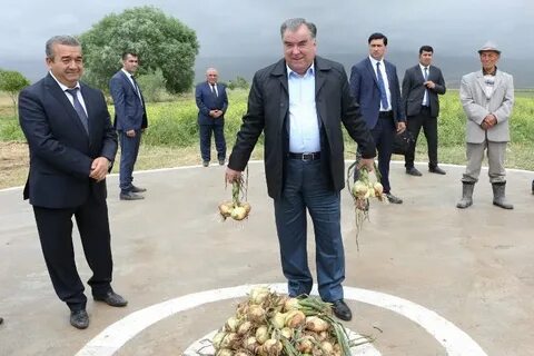 Сегодня тадж