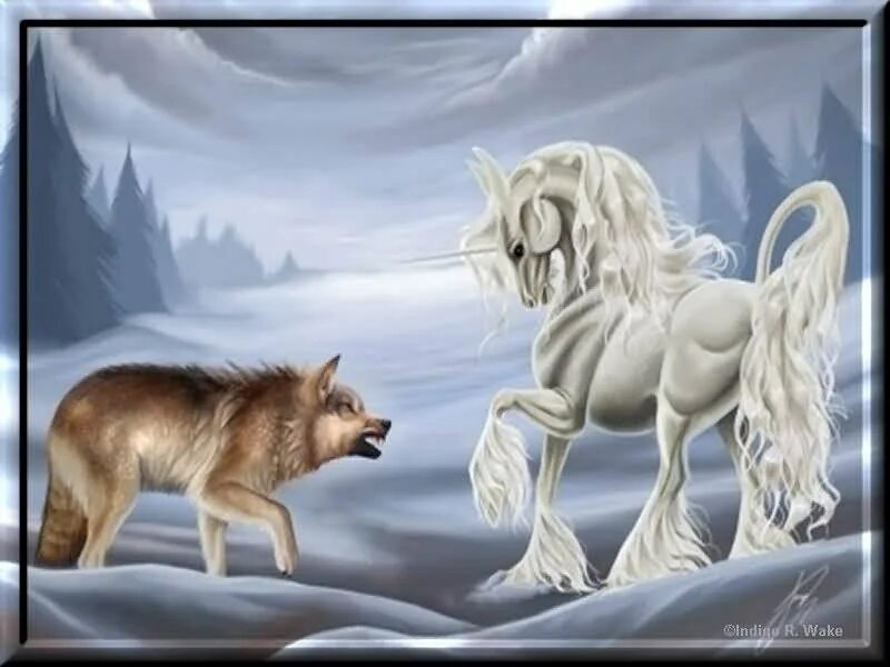 Волк Единорог. Лошадь и волк. Лошадь против волка. Белый конь и волки. Против единорогов