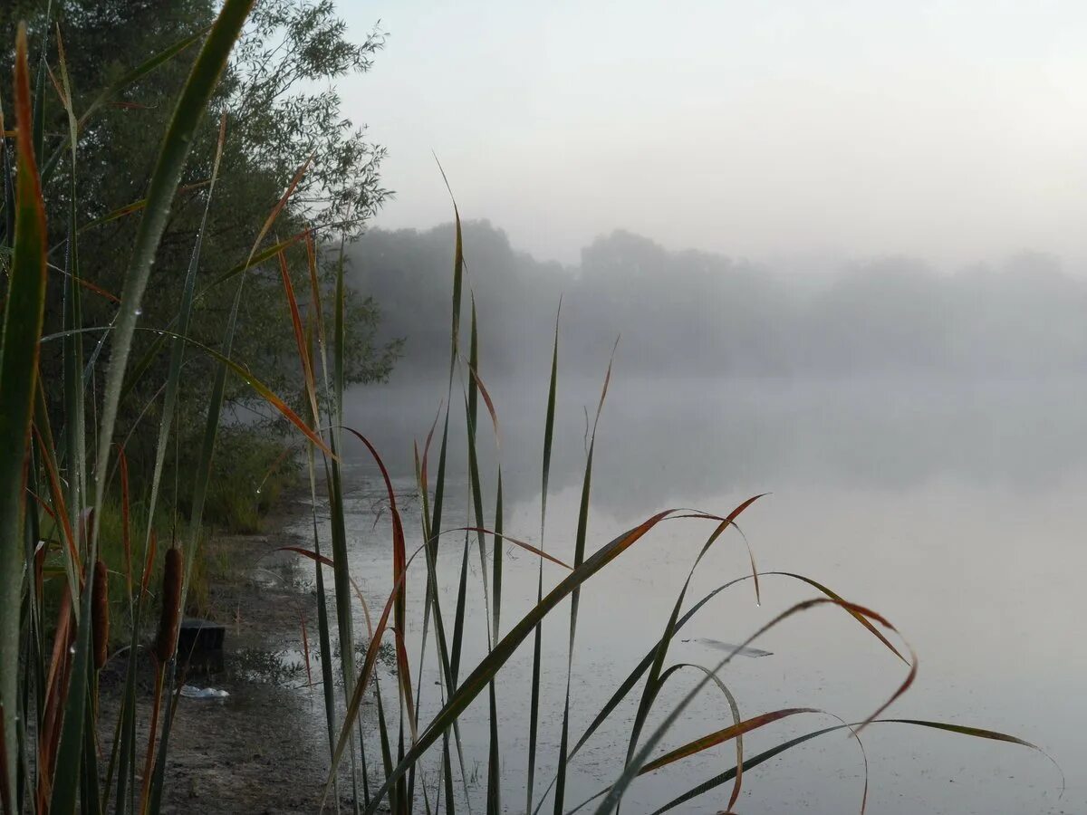 Дождь или дощь. Песни моросящий дождь. Дождь за окном. Песни моросящий дождь. Дождь.
