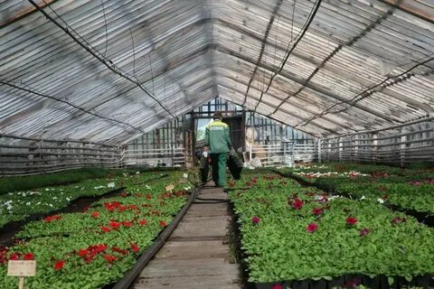Горзеленхоз