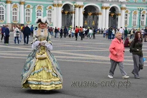 Сайт жизнь петербурга