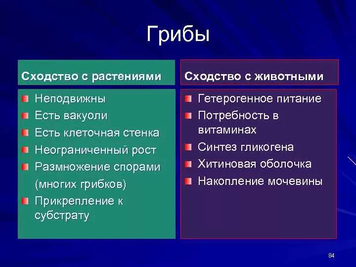 Какие черты различия характерны для. Черты сходства грибов с растениями. Отличия и сходства грибов с растениями и животными. Черты сходства и различия животных, растений, грибов. Сходство и различие грибов с растениями и животными.