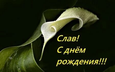 Друга славу с днем рождения
