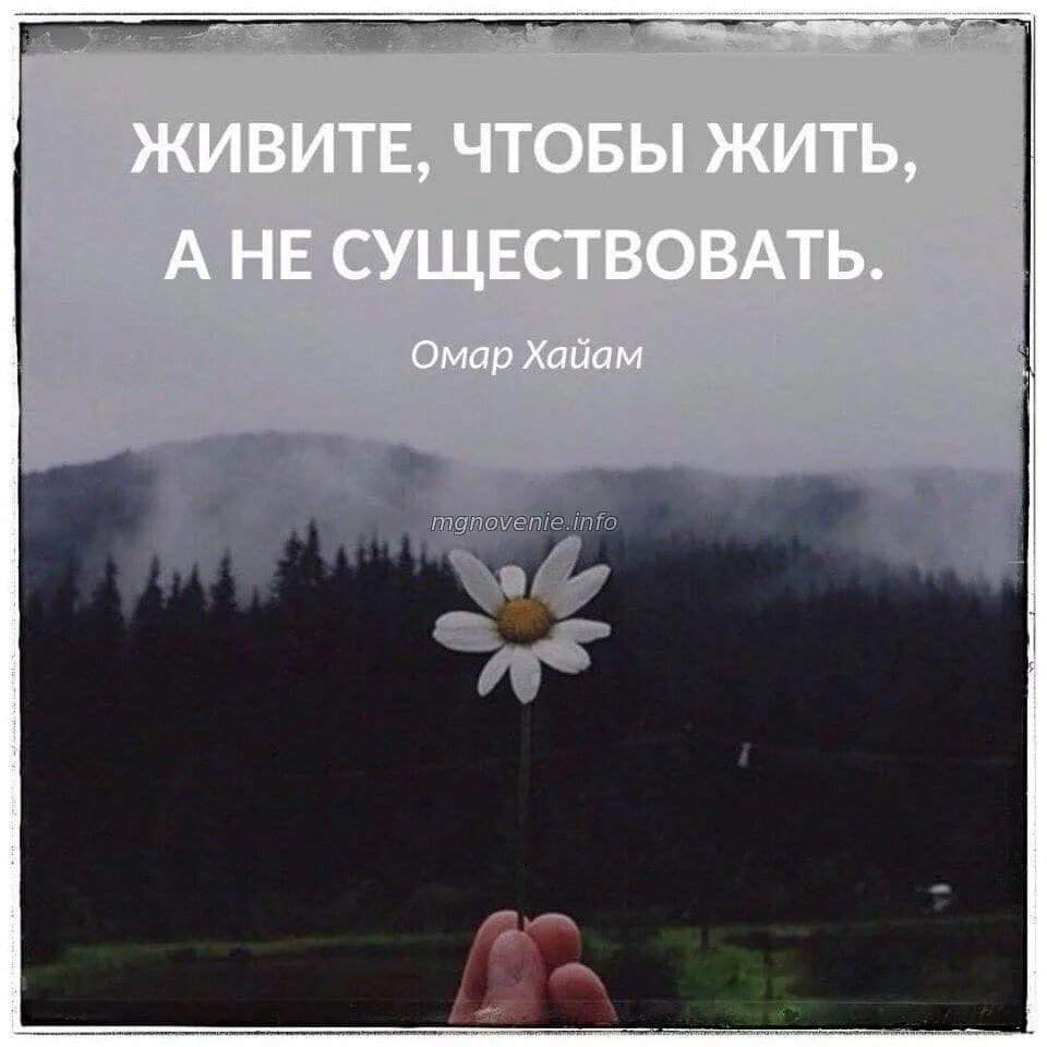 Она существует. Существует ли дед мороз доказательства. Маша существует. Есть ли слово нету в русском языке. Она не живет она существует.