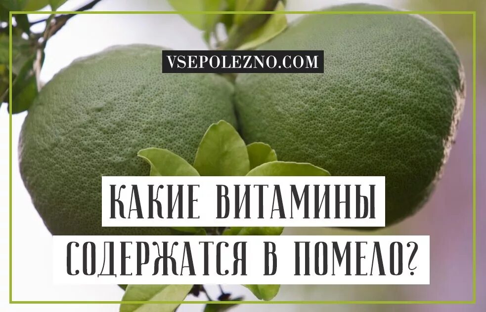 Витамины содержащиеся в помело. Витамины в памеле. помело калорийность. памела калорийность. помело витамины.