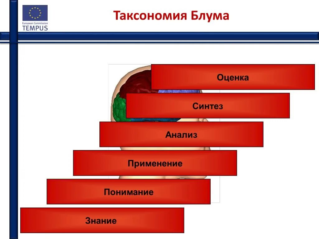 Учитель использует таксономию блума при оценивании учащихся. Таксономия блума. ступени таксономии блума. классификация блума. уровни таксономии блума.