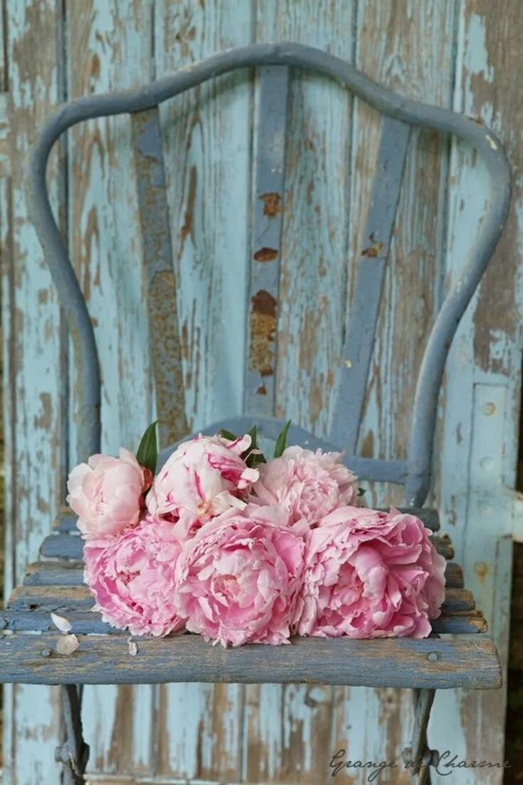 Шебби шик сервировка. Shabby chic цветы. Шебби шик цветы. Букет шебби шик. Цветы шик.