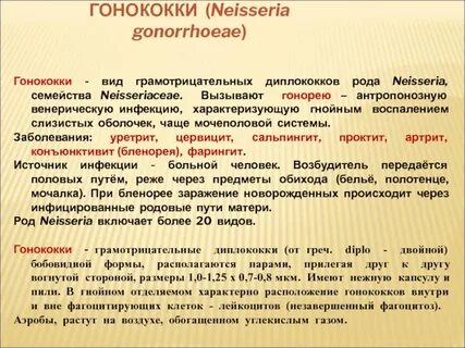 Гонококки симптомы