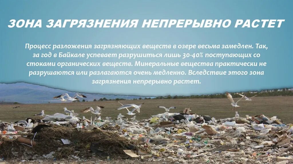 Экологические проблемы байкала проект Новости и репортажи