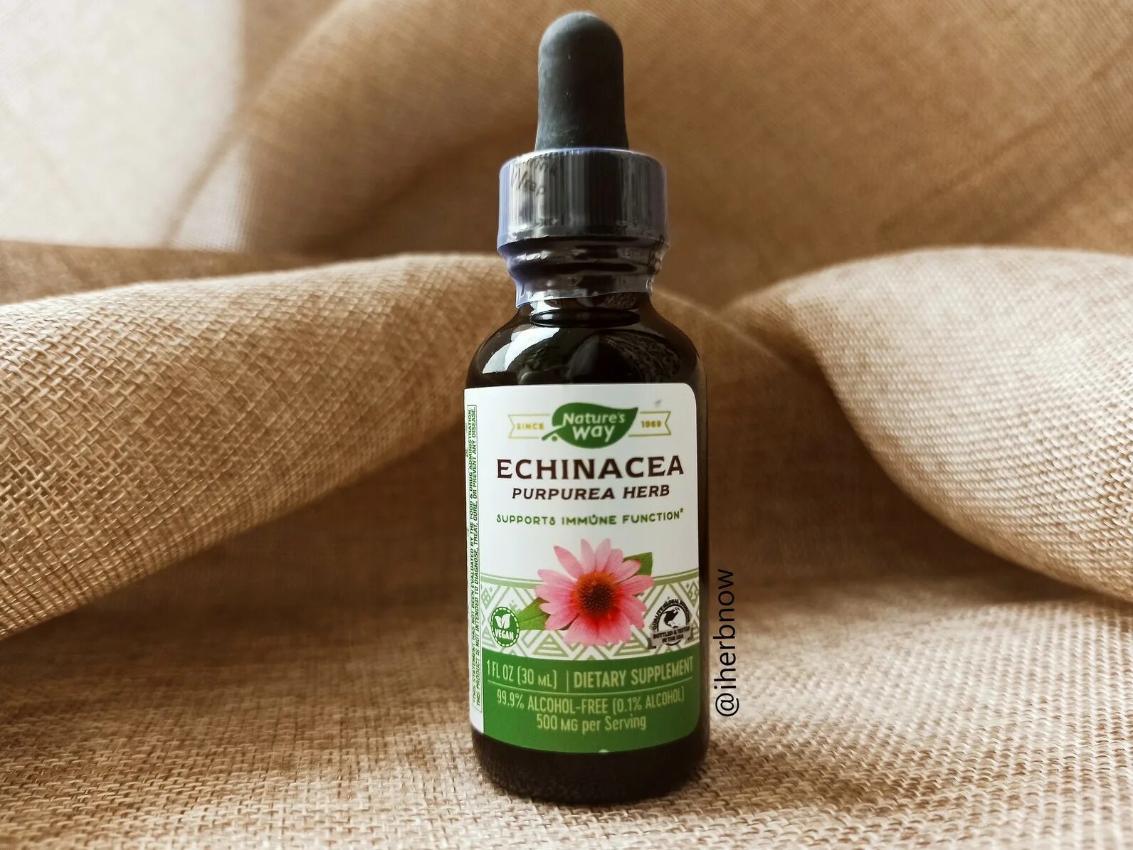 Эхинацея капли айхерб. Echinacea капли IHERB. Эхинацея жидкая айхерб. Эхинацея IHERB для детей.