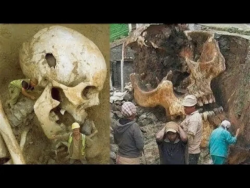 Исполины читать. Исполины нефилимы скелеты.